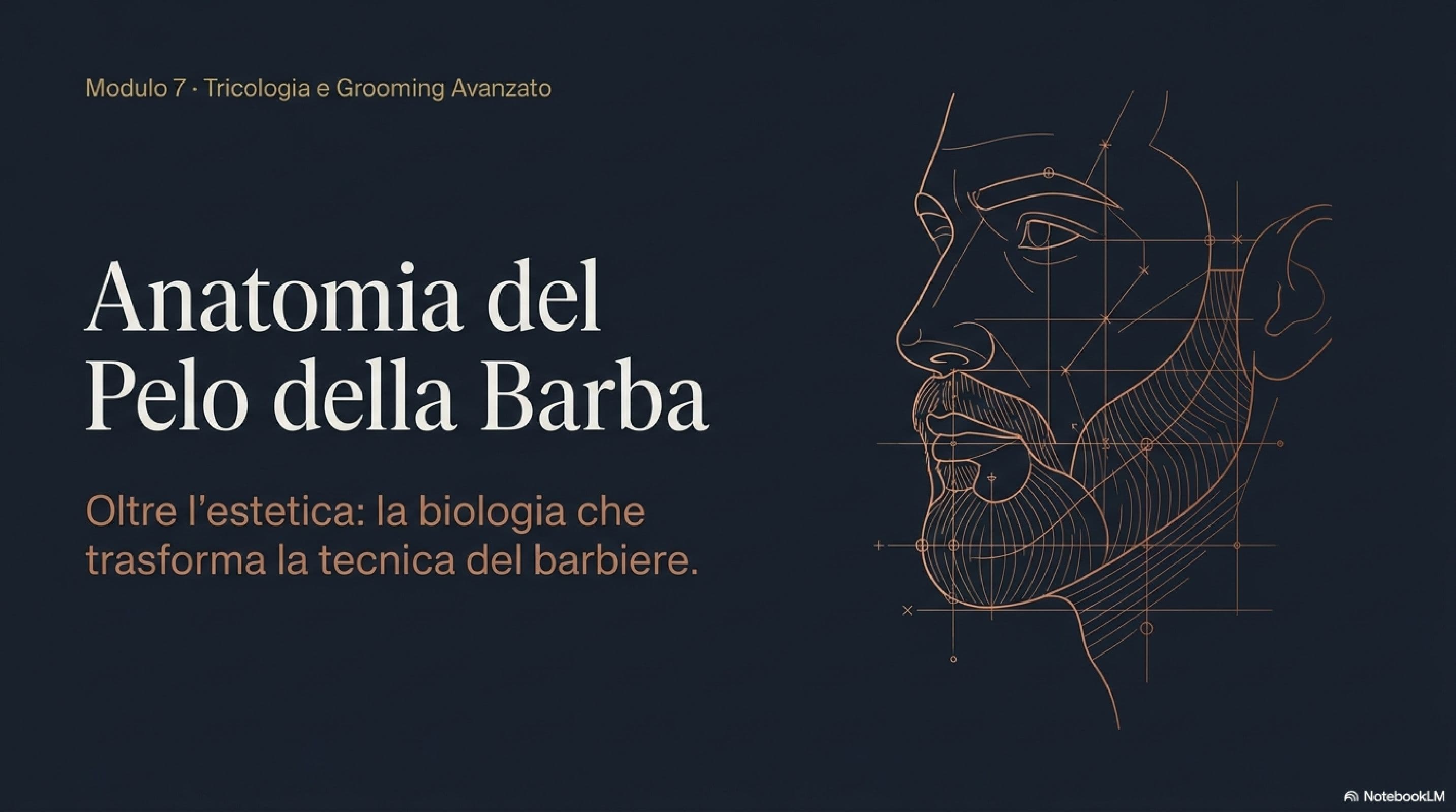 Anatomia del Pelo della Barba